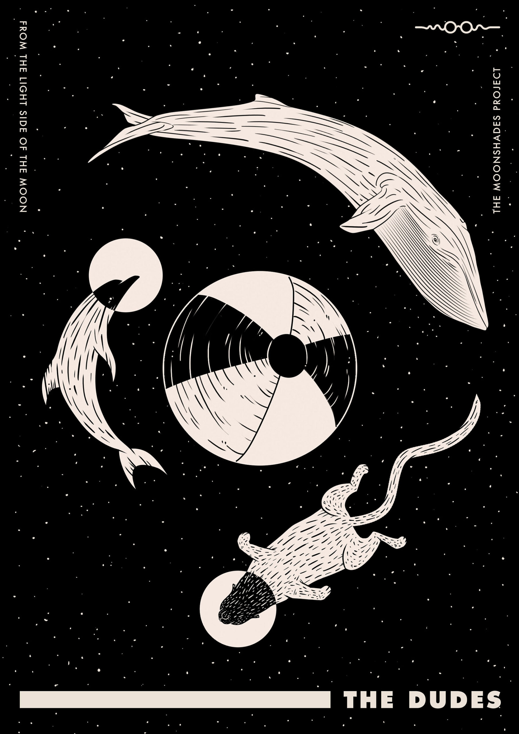 04_moon_plakat_dolphin_cat_high