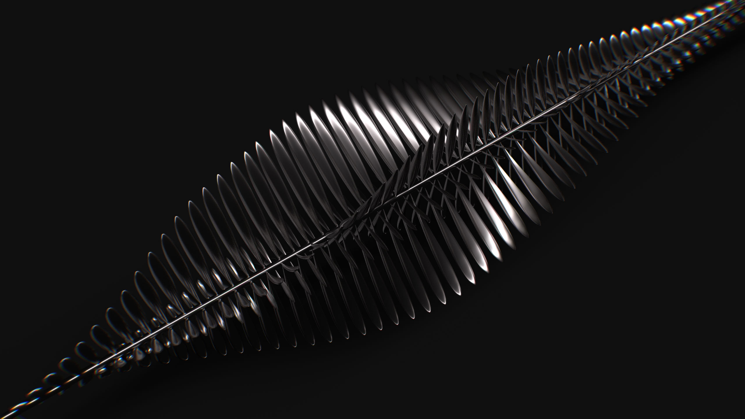 06_BUD_TEST_stills_01_0010