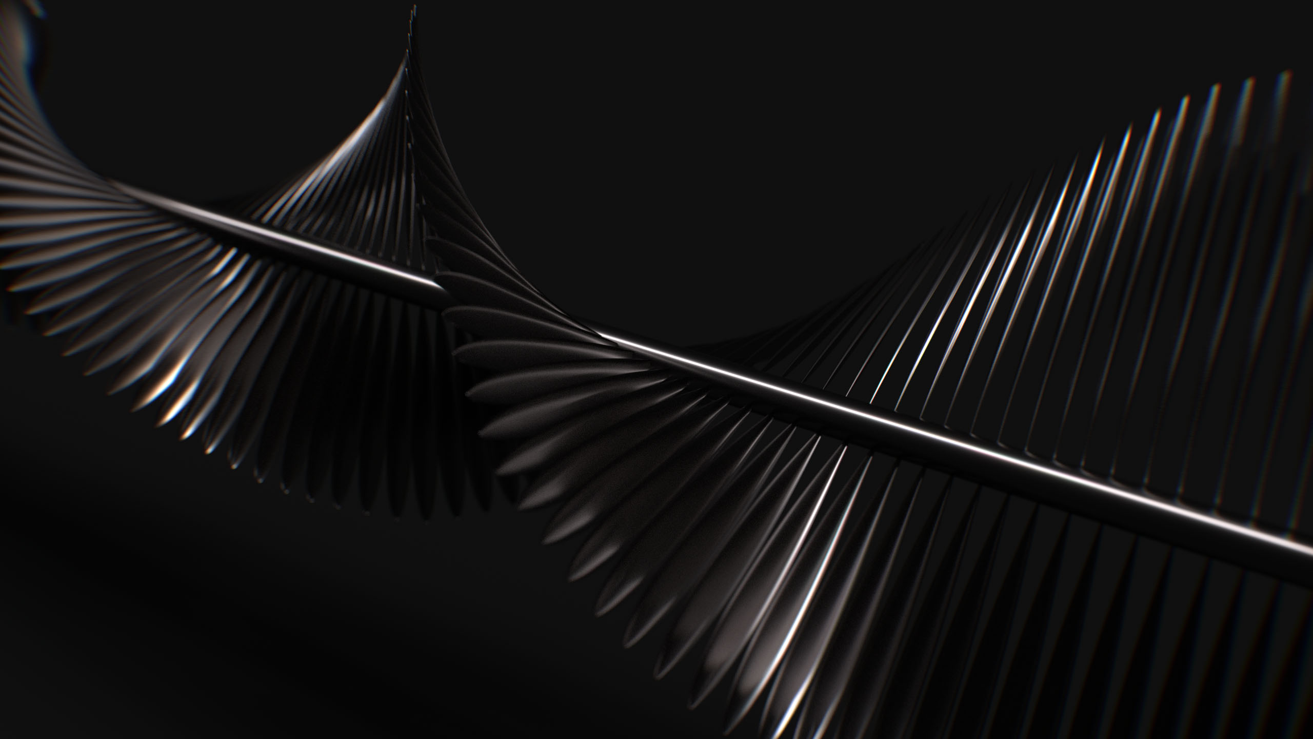 24_BUD_TEST_stills_01_0301